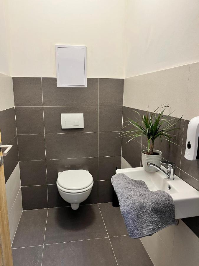 Aviatik Apartmany-cerny Dul * Černý Důl