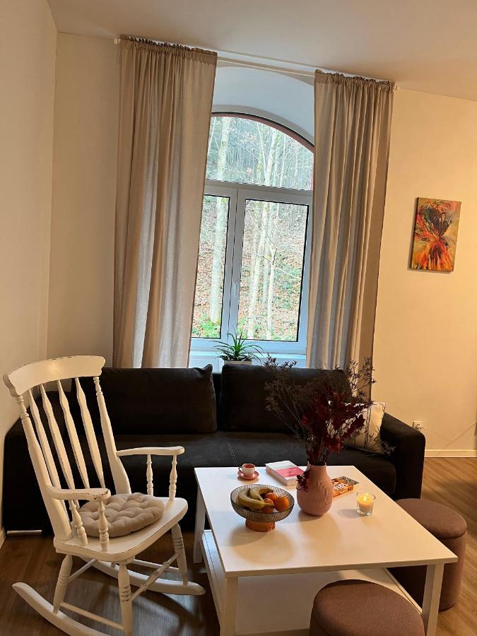 Aviatik Apartmany-cerny Dul Апартаменты Черный Дул